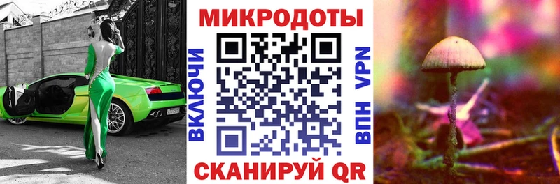 Галлюциногенные грибы Psilocybine cubensis  Купить где  Балашов 